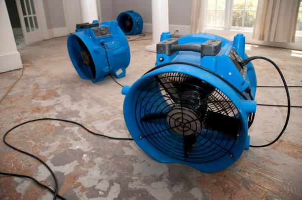 Best Water damage restoration near me  in Mount Pleasant, TX