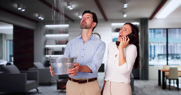 Best 24/7 water damage repair  in Mount Pleasant, TX